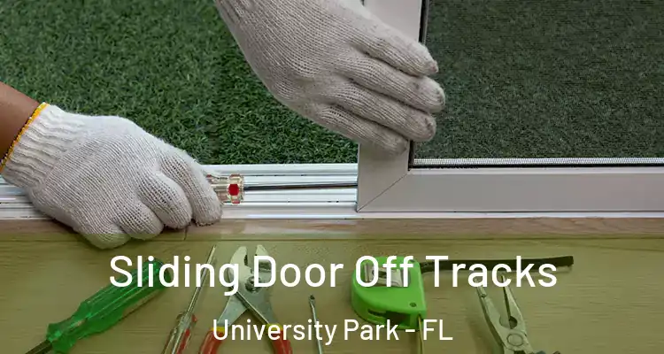  Sliding Door Off Tracks University Park - FL