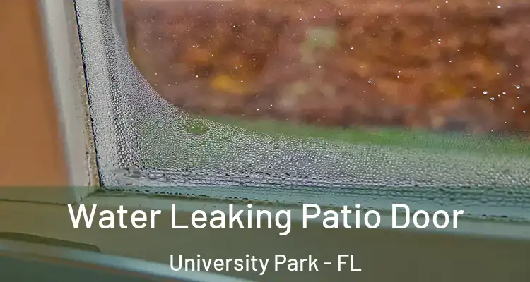  Water Leaking Patio Door University Park - FL